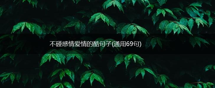 不碰感情爱情的酷句子(通用69句),第1张
