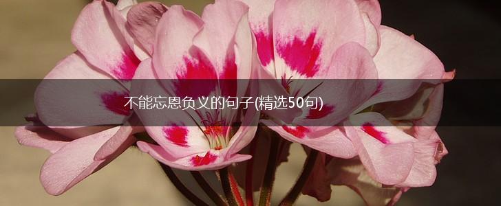 不能忘恩负义的句子(精选50句),第1张