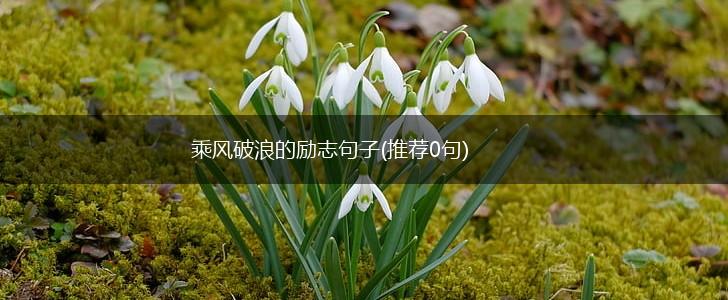 乘风破浪的励志句子(推荐0句),第1张
