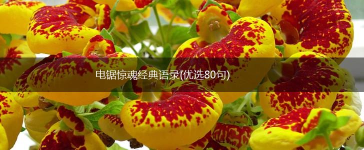 电锯惊魂经典语录(优选80句),第1张