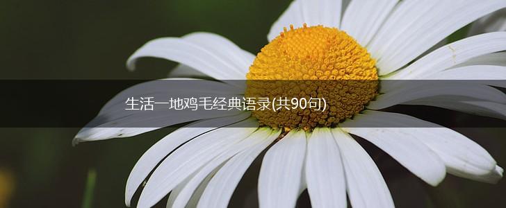 生活一地鸡毛经典语录(共90句),第1张