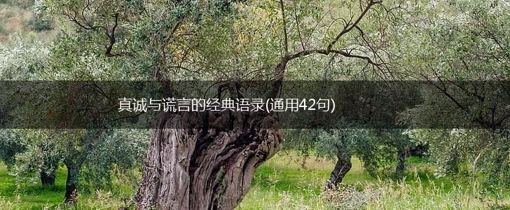 真诚与谎言的经典语录(通用42句),第1张