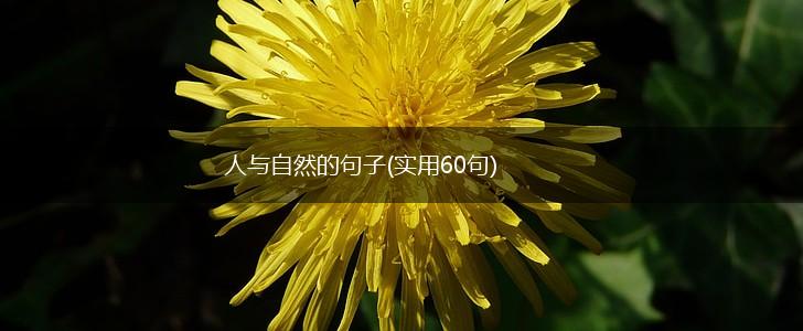 人与自然的句子(实用60句),第1张