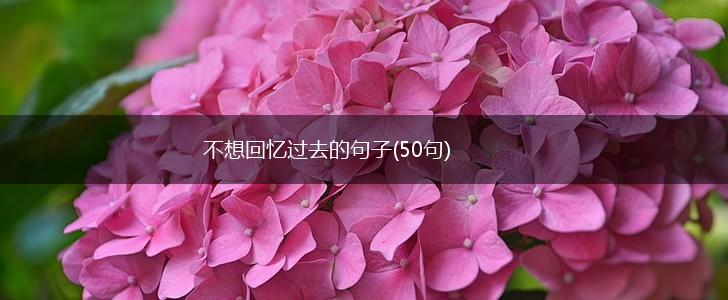 不想回忆过去的句子(50句),第1张