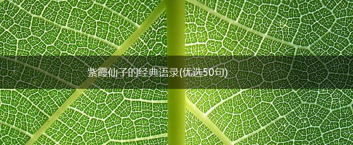 紫霞仙子的经典语录(优选50句),第1张 紫霞仙子的经典语录(优选50句),第1张