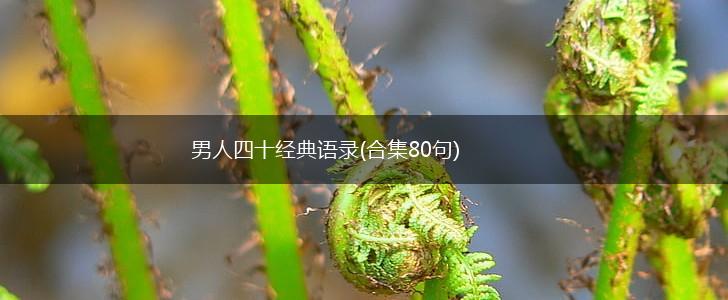 男人四十经典语录(合集80句),第1张