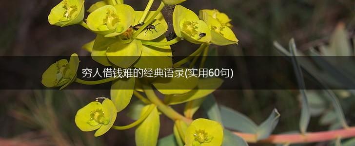 穷人借钱难的经典语录(实用60句),第1张
