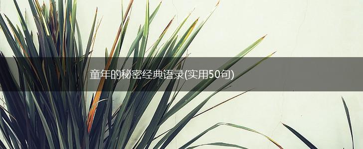 童年的秘密经典语录(实用50句),第1张