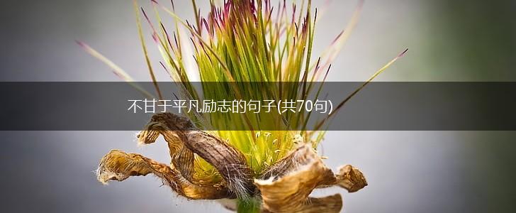 不甘于平凡励志的句子(共70句),第1张