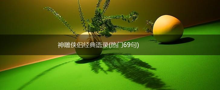 神雕侠侣经典语录(热门69句),第1张