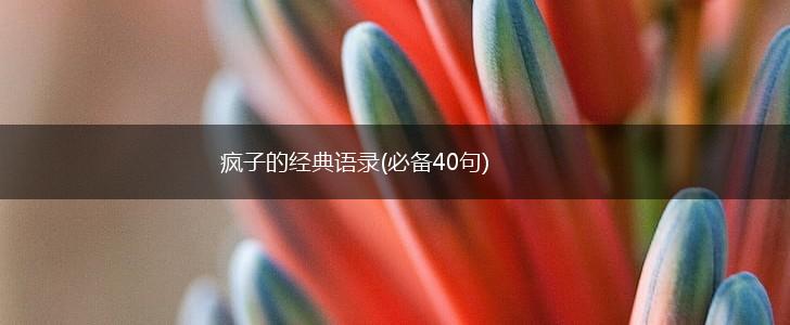 疯子的经典语录(必备40句),第1张