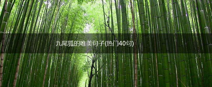 九尾狐的唯美句子(热门40句),第1张
