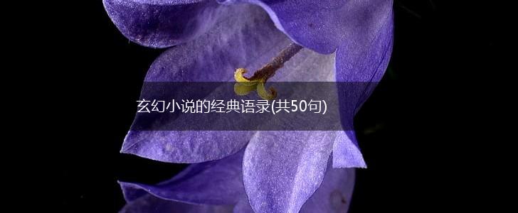 玄幻小说的经典语录(共50句),第1张