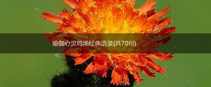 瑜伽心灵鸡汤经典语录(共70句),第1张