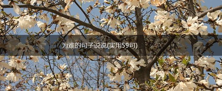 为难的句子说说(实用59句),第1张