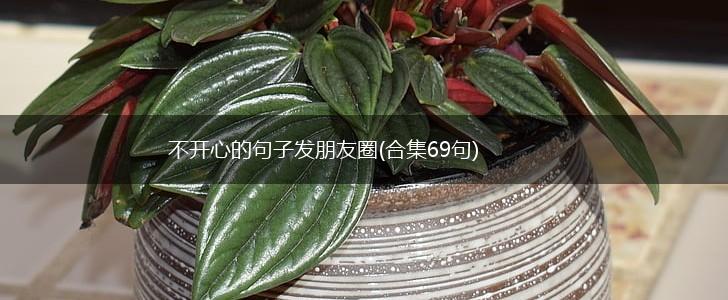 不开心的句子发朋友圈(合集69句),第1张
