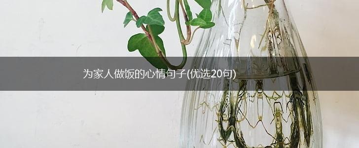 为家人做饭的心情句子(优选20句),第1张