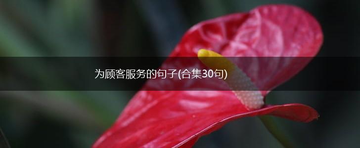 为顾客服务的句子(合集30句),第1张