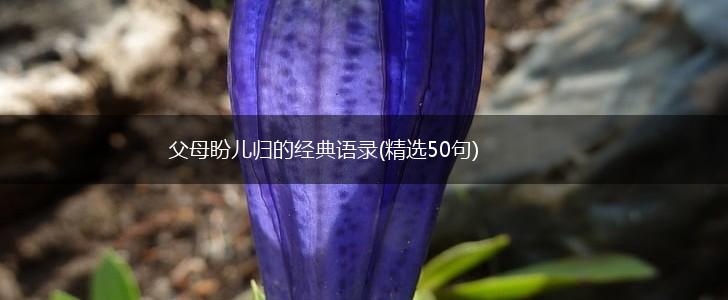 父母盼儿归的经典语录(精选50句),第1张