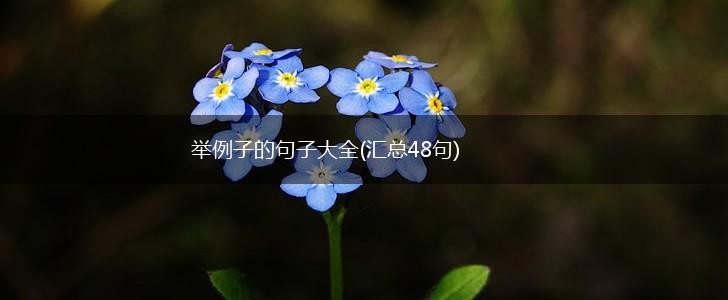 举例子的句子大全(汇总48句),第1张