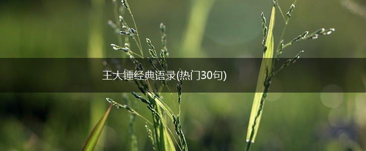 王大锤经典语录(热门30句),第1张