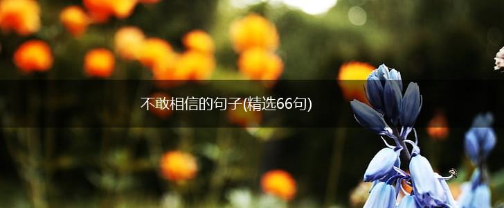 不敢相信的句子(精选66句),第1张