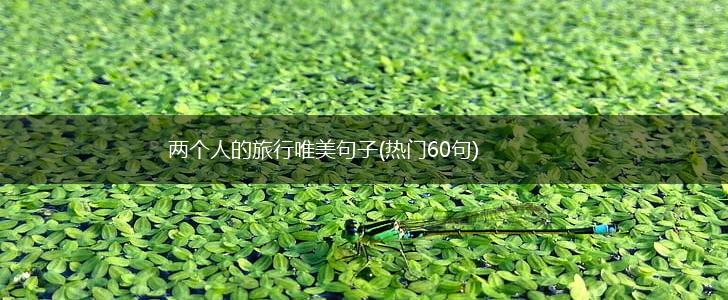 两个人的旅行唯美句子(热门60句),第1张
