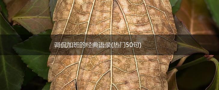 调侃加班的经典语录(热门50句),第1张