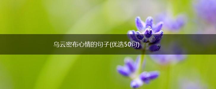 乌云密布心情的句子(优选50句),第1张