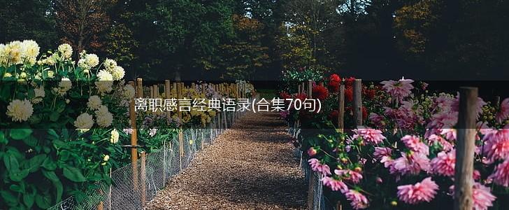 离职感言经典语录(合集70句),第1张