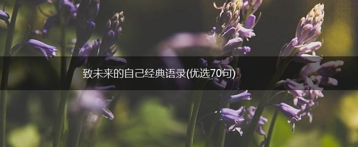 致未来的自己经典语录(优选70句),第1张