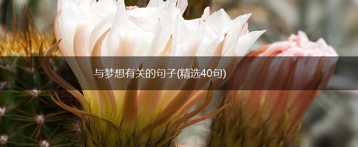 与梦想有关的句子(精选40句),第1张