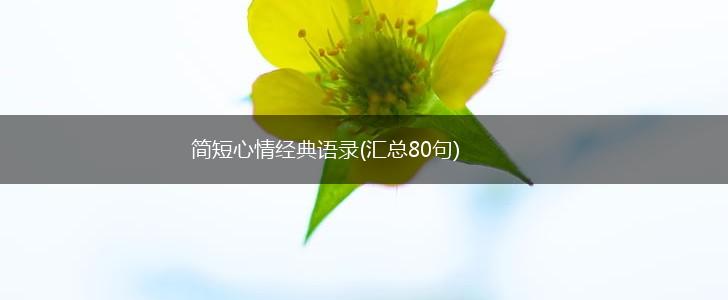 简短心情经典语录(汇总80句),第1张