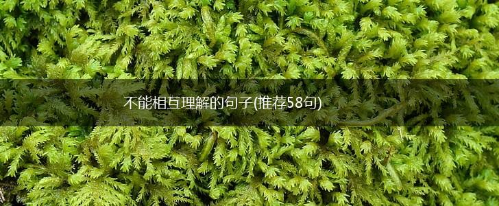 不能相互理解的句子(推荐58句),第1张