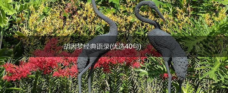 胡因梦经典语录(优选40句),第1张 胡因梦经典语录(优选40句),第1张