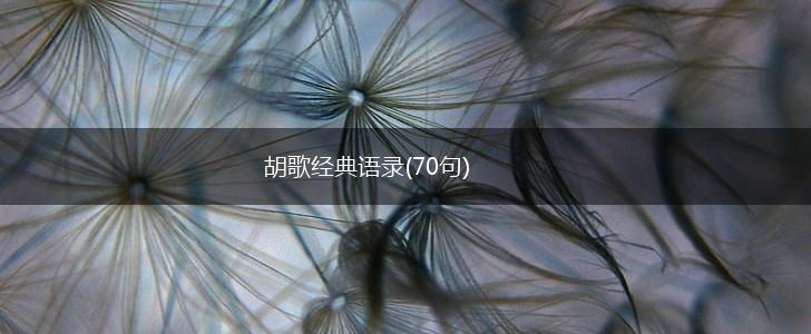 胡歌经典语录(70句),第1张