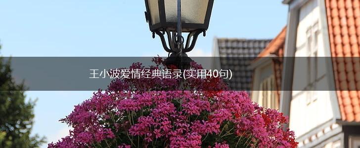 王小波爱情经典语录(实用40句),第1张