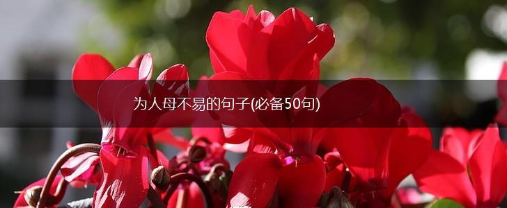 为人母不易的句子(必备50句),第1张
