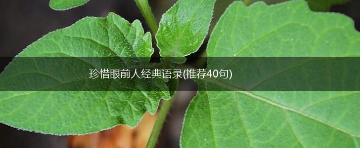 珍惜眼前人经典语录(推荐40句),第1张