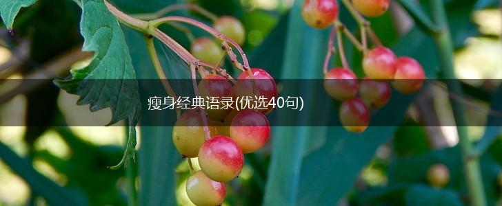 瘦身经典语录(优选40句),第1张