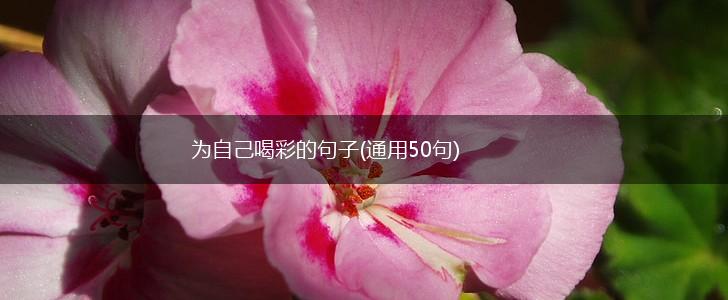 为自己喝彩的句子(通用50句),第1张