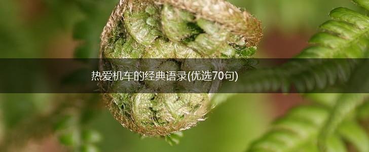 热爱机车的经典语录(优选70句),第1张