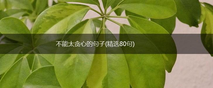 不能太贪心的句子(精选80句),第1张