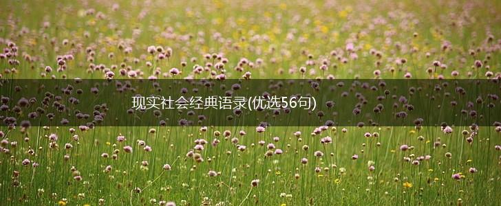 现实社会经典语录(优选56句),第1张