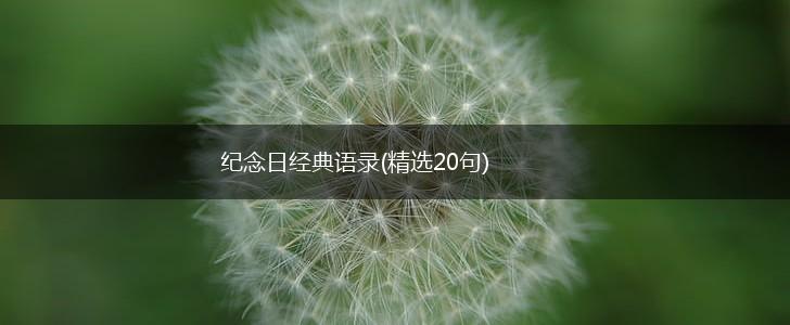 纪念日经典语录(精选20句),第1张