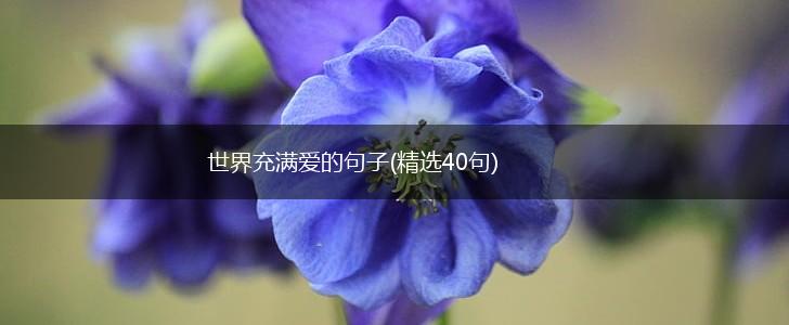 世界充满爱的句子(精选40句),第1张