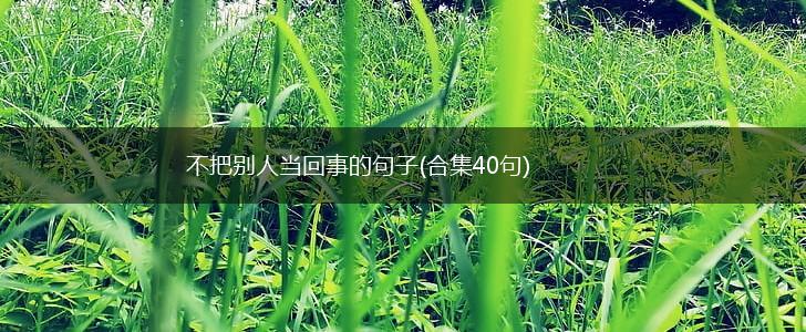 不把别人当回事的句子(合集40句),第1张