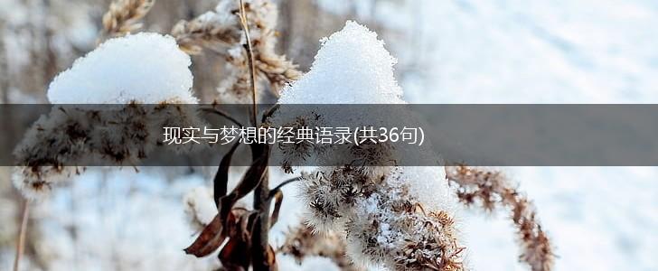 现实与梦想的经典语录(共36句),第1张