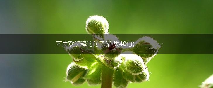 不喜欢解释的句子(合集40句),第1张