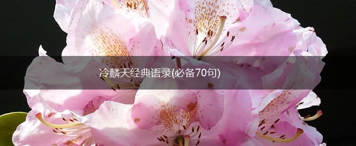 冷麟天经典语录(必备70句),第1张